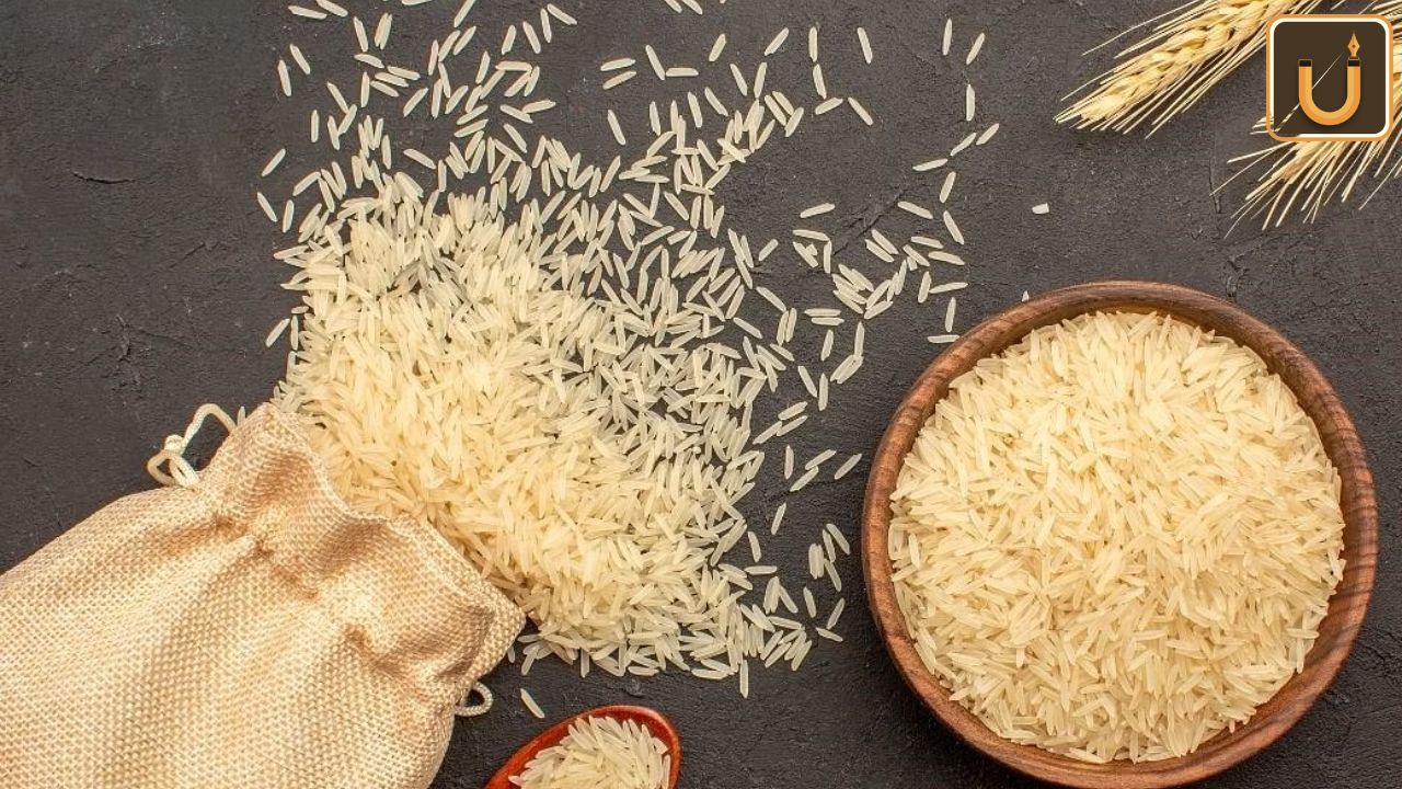 Usthadian Academy / India Set To Extend Rice Export Bans Through 2024, Impacting Global Prices | 21 nov 2023 Usthadian Academy / India Set To Extend Rice Export Bans Through 2024, Impacting Global Prices